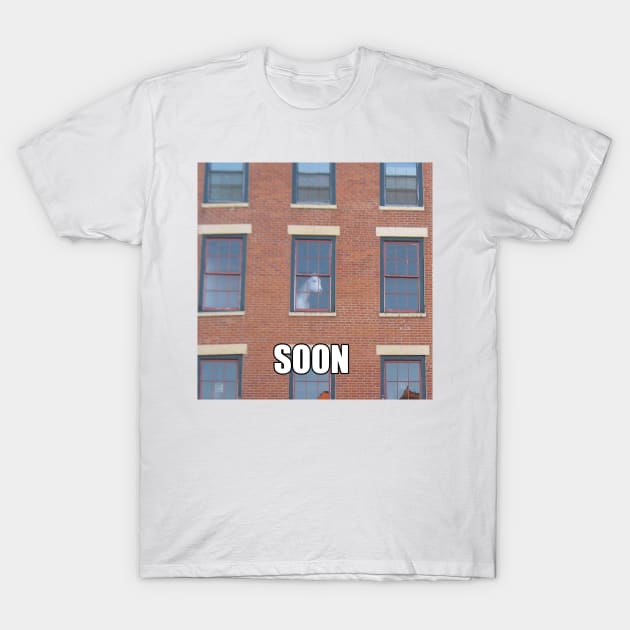 Soon Horse Meme T-Shirt by FlashmanBiscuit